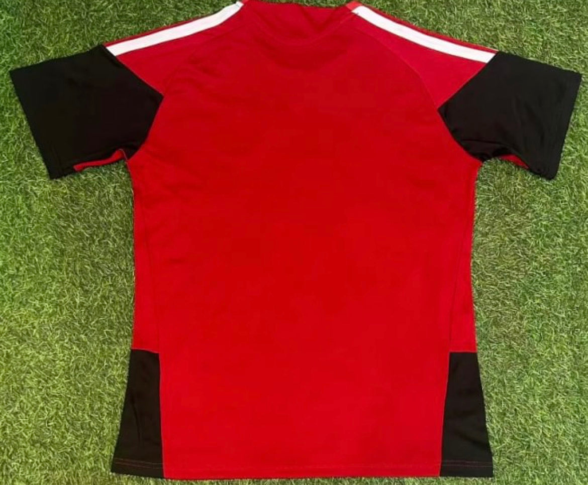 2026 Germany Training Suin Red Football Shirt 1:1 Thai Quality